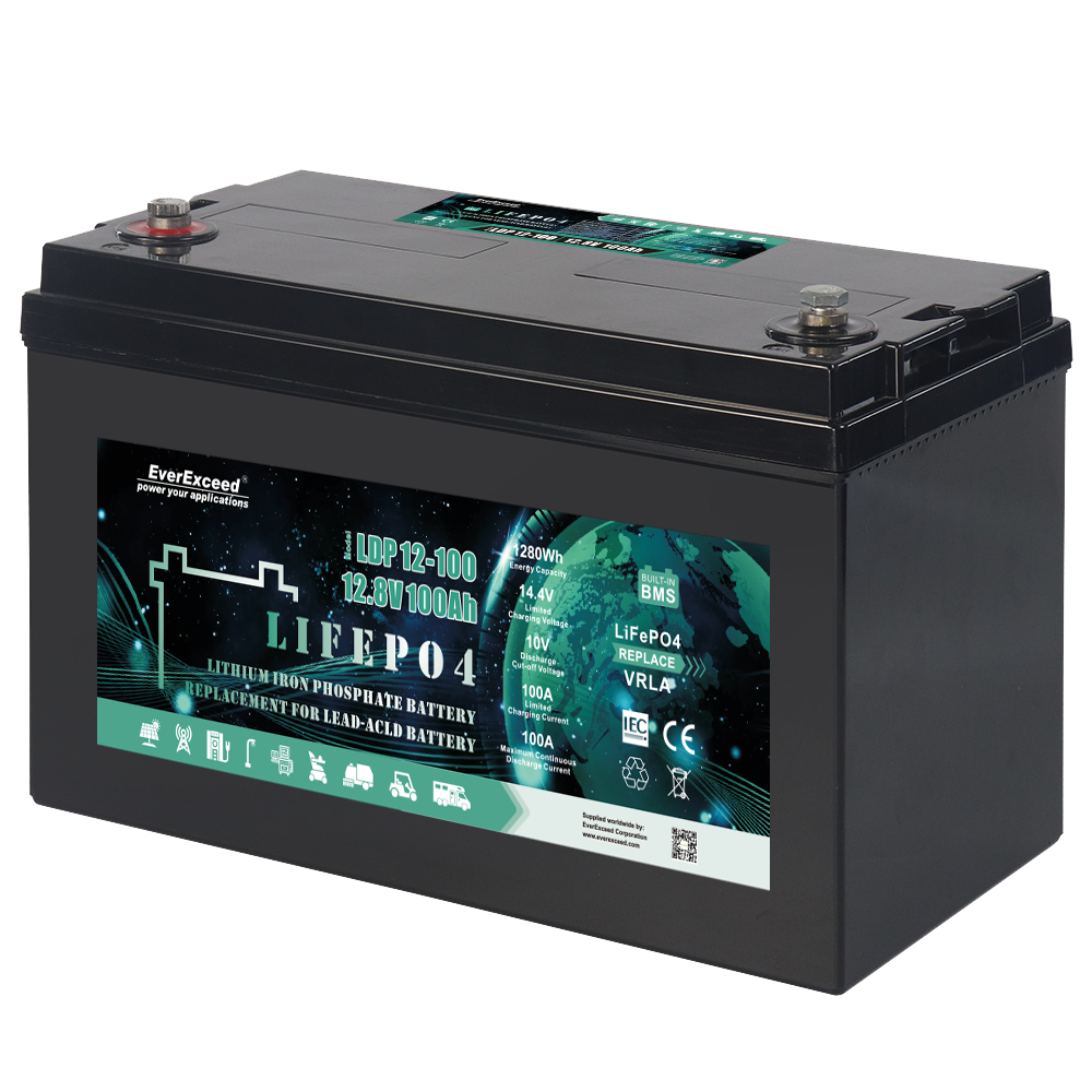 EverExceed LDP 12-100